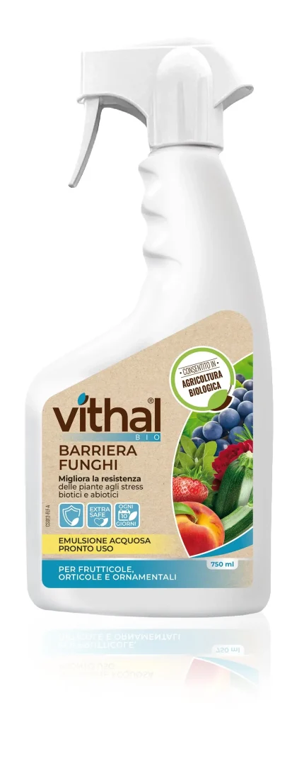 Vithal Barriera Funghi Bio 750 ml